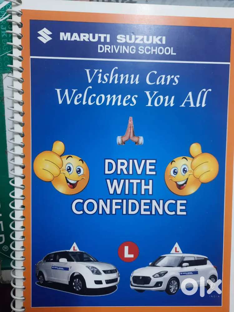 Driving Instructors