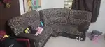 L shaped Sofa