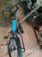Zurich Bicycle, 6 Month old