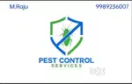 Anti termites and cockroach treatment