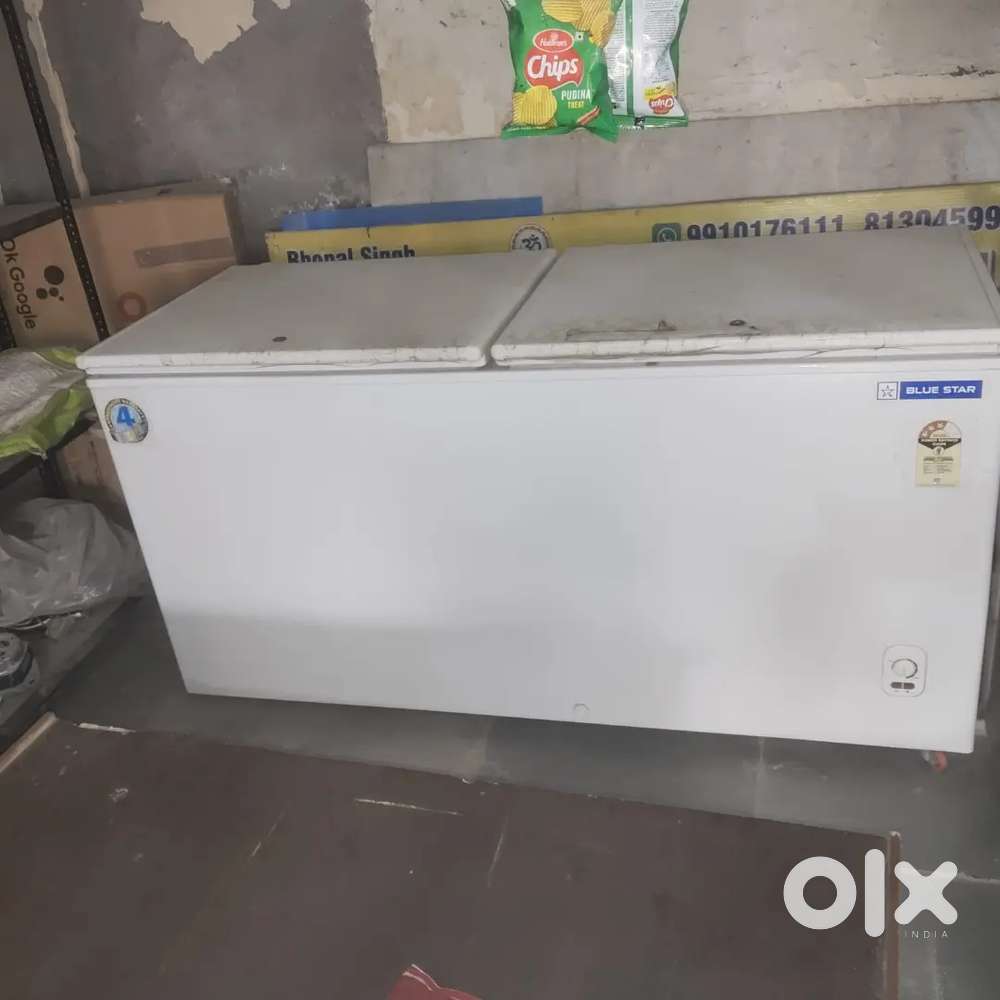 Blue Star deep freezer 5 month old