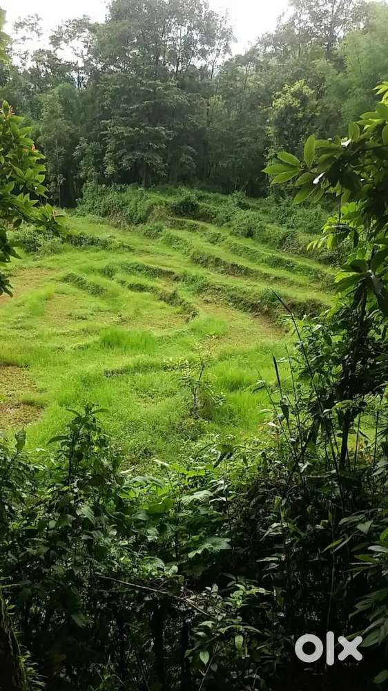 Land for sale near by kalimpong town