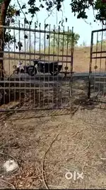 SARALGAON MURBAD LOCATION-51GHUNTAS AGRICULTURE LAND FOR SALE -48LAKHS
