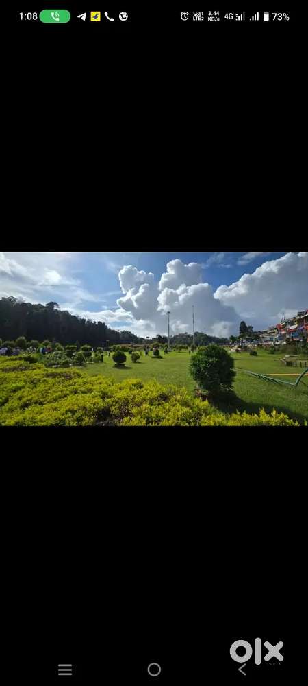 Need only girl roommate