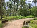Koottalida houe plot