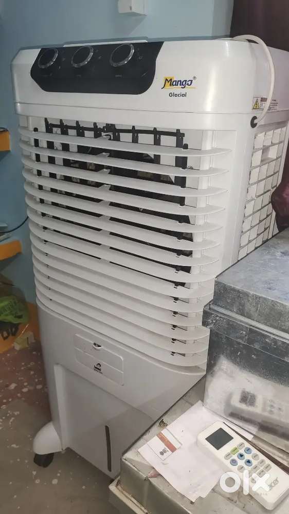 Deserd Family Cooler Mango 90 LT 5 Month OLD