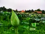 Kono job thakle janaben