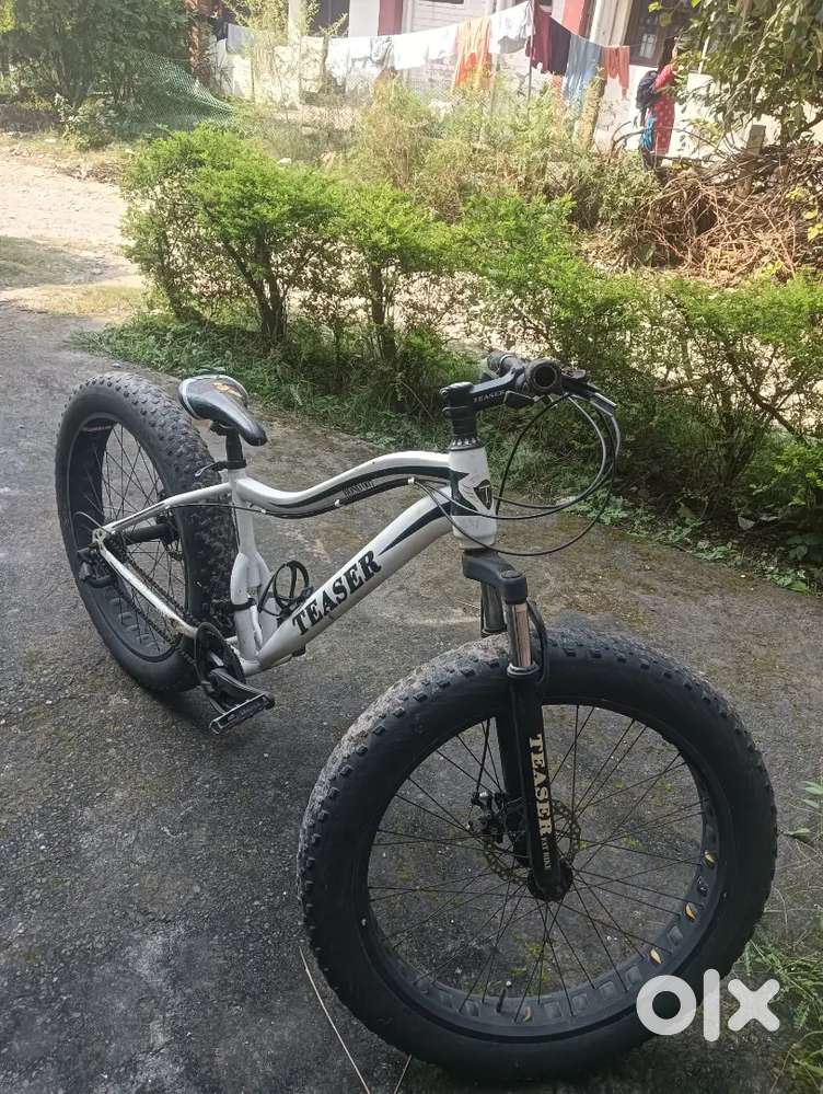 Fat bike big tyre