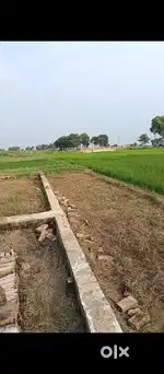 Danapur lodipur darweshpur plot for sale