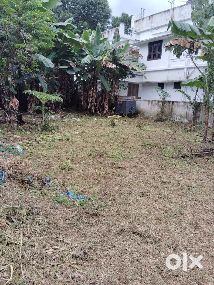 Pallikara parakode