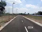 On plot on road