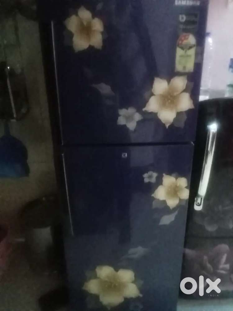 Fridge samsung