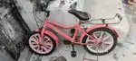 Carevit cycle
