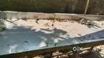 Only 2 week used fish cutting table