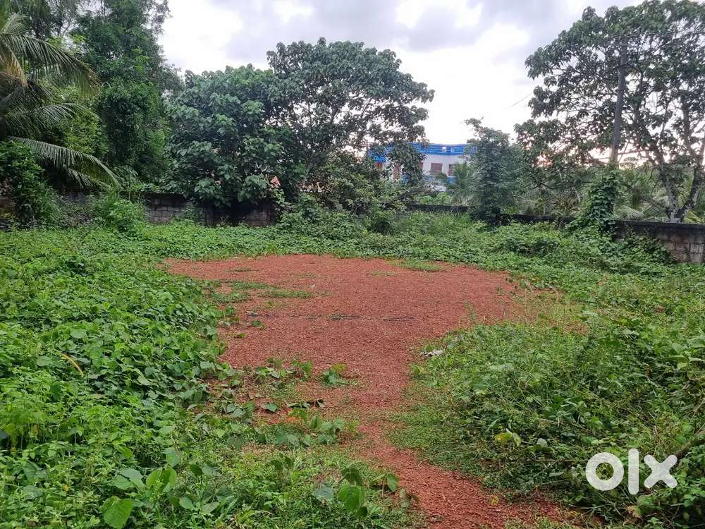 8 Cent plot for sale