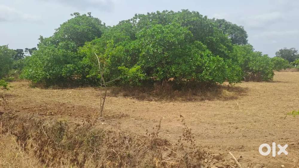 WHERRDREAM MEETS DESlGN