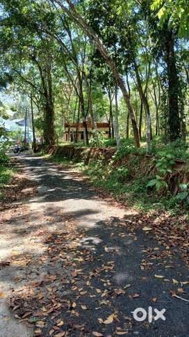 38 cent, 33 cent, 17 cent plots for sale - Pattazhi