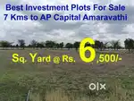 దాములూరు @ అమరావతి – తక్కువ ధరలో రెసిడెన్షియల్ ప్లాట్లు