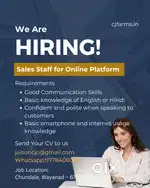 Sales Staff for Online Platform (Female Preferred)