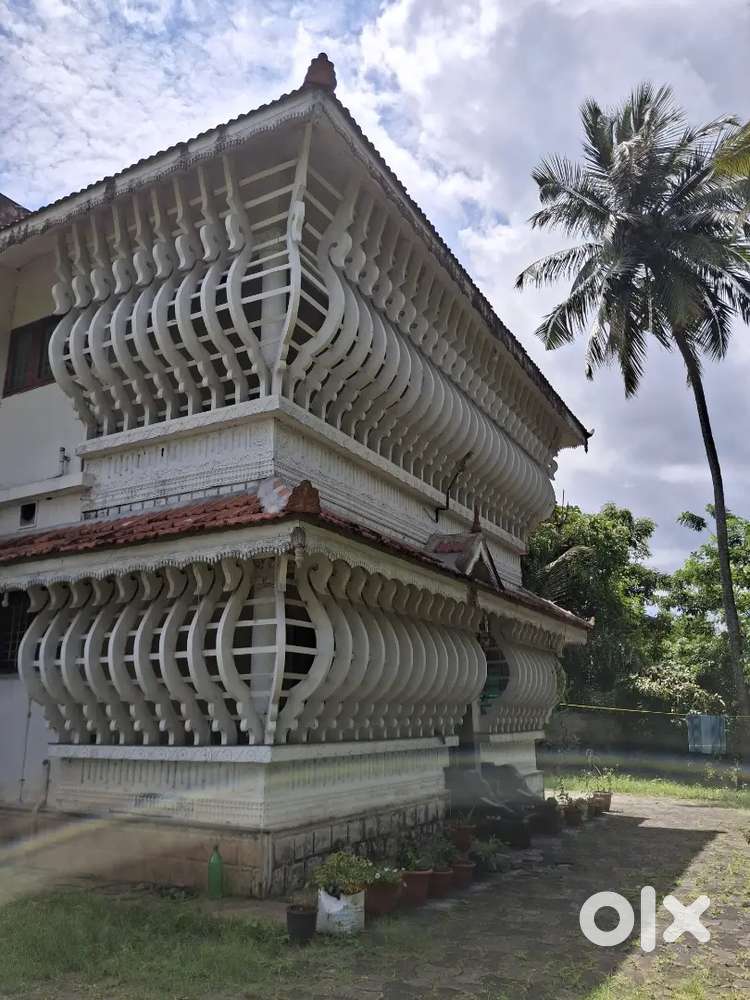 Independent Bunglaw for rent in Thathamangalam