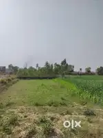 1Bigha Agricultural Land For Sale inRatanpur,Mehlakpur chakor zameen h