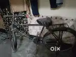Cycle old for sell