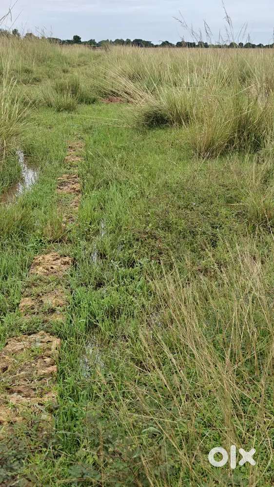 Panchagaon Plot Near Capital College