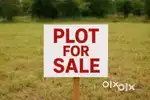 Old Model Town, Ropar, 26500X316.66= 84L, Park Face plot 316.66 Gz