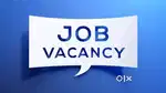 Tele calling, team leader, HR assistant