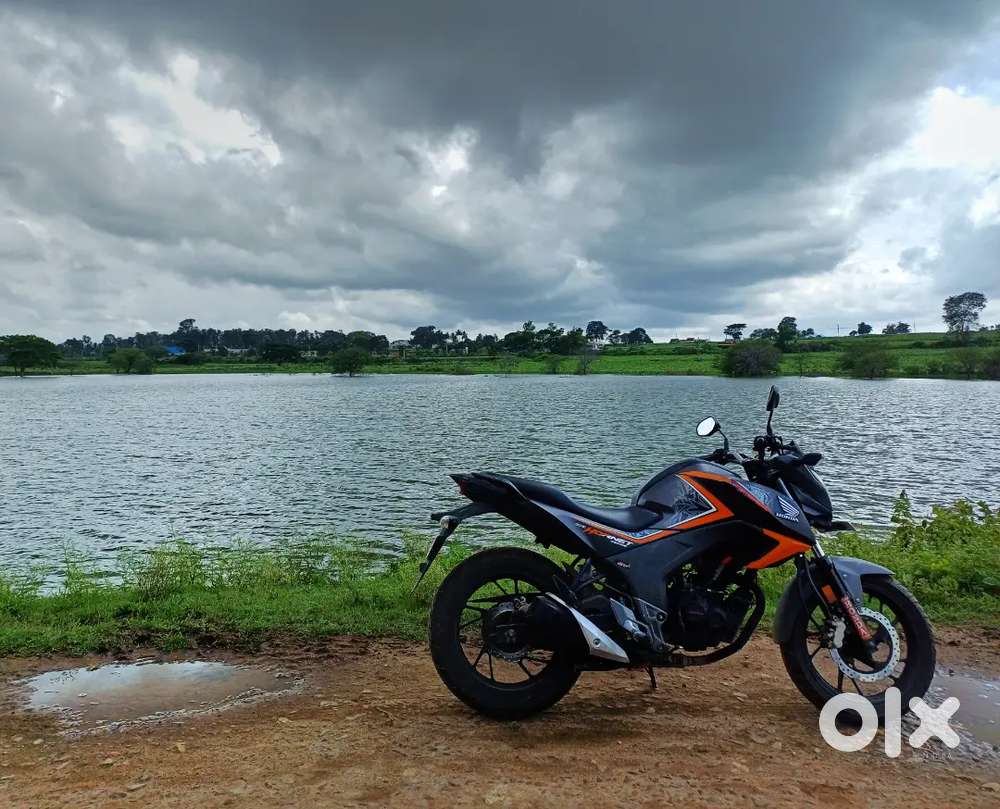 Honda Hornet for sale