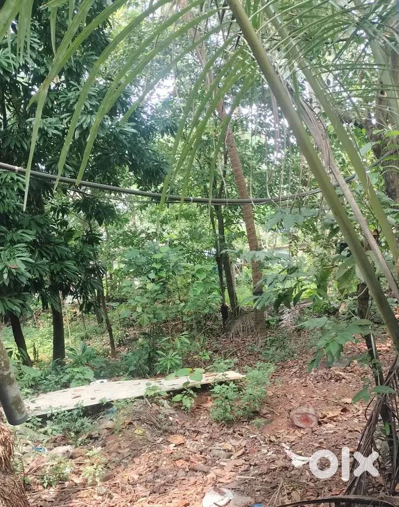 സ്ഥലം വിൽപ്പനക്ക് കോട്ടക്കൽ ടൗണിനടുത്ത് ഫ്ലാറ്റ് വീട് അനുയോജ്യമായ എല്