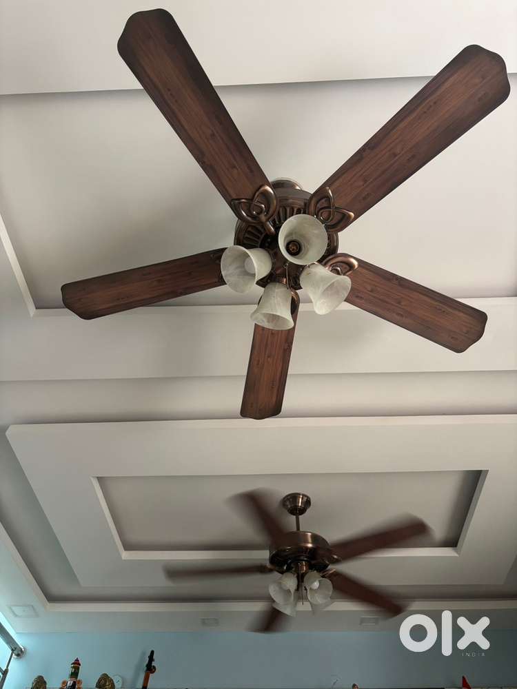 Designer fan