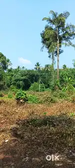 River side land 100 cent. To. 500 cent near thodupuzha