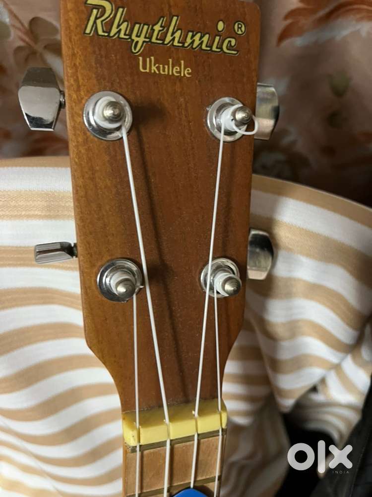 Ukulele musical instrument