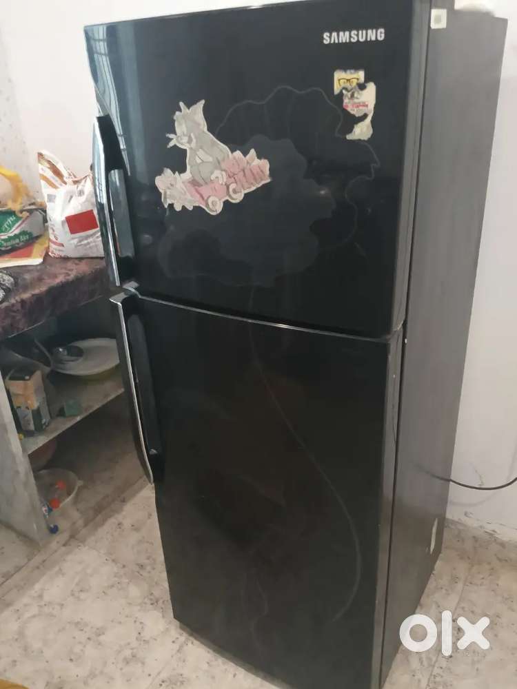 Samsung 210 L 5 Star Double Door Refrigerator
