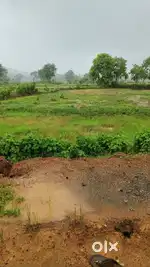 Plot for sell