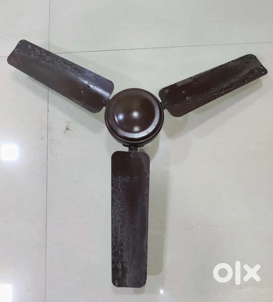 3-Blade Ceiling Fans – Strong, Sturdy & Reliable Performance!