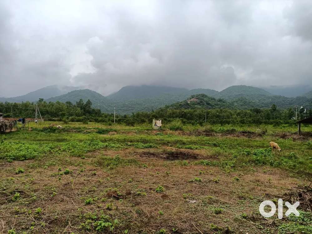 Fish ponds and Agriculture land for total lease transfer
