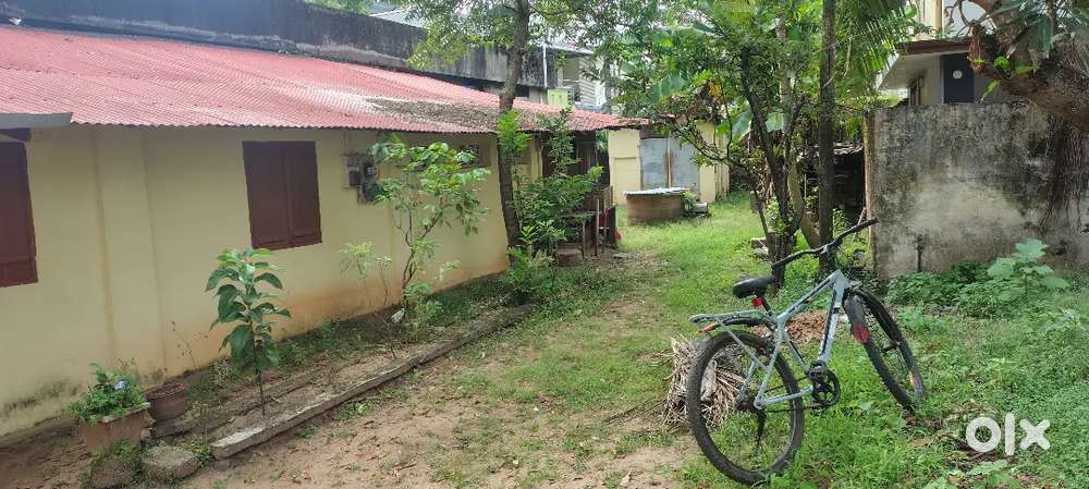 6.5 cent land for sale