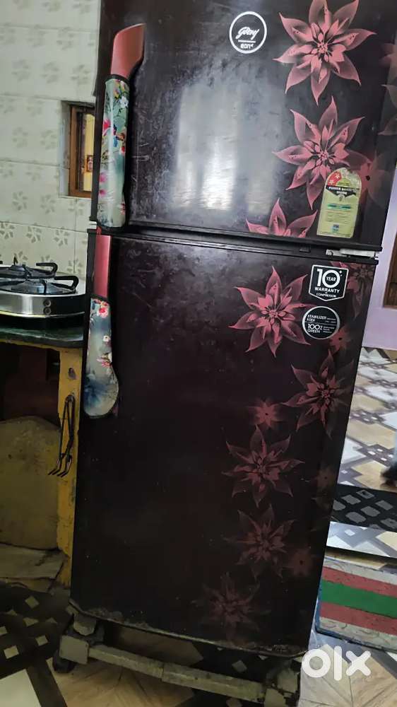 dabal door fridge