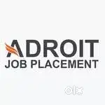 Survey Executive