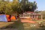 20 BIGHA LAND WITH FARMHOUSE FOR SALE