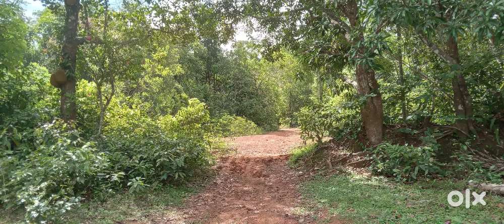 Plot for sale