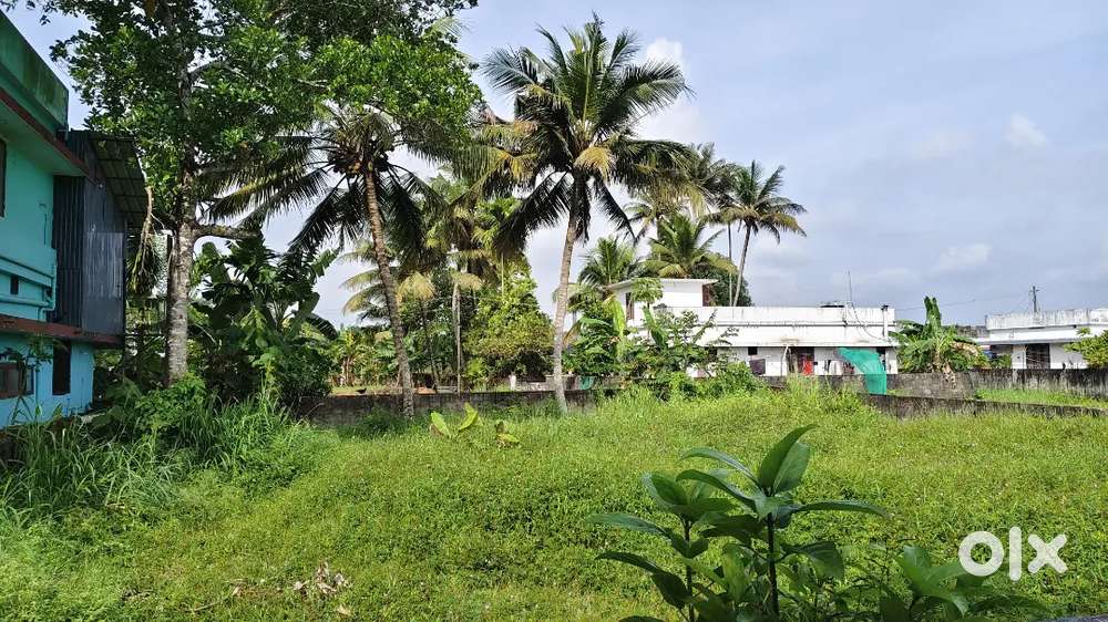 Two lands for sale. Two properties are in the picture