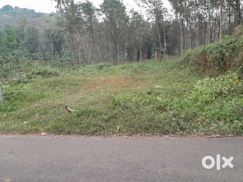 10 cent plot for sale (Price is negotiable)