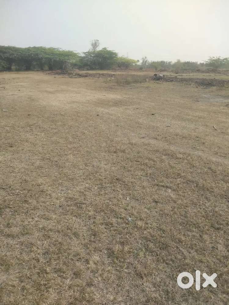 5 बीघा सवर्ण जमीन