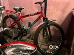 Flamingo bikes