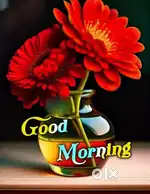 2 bhk flat Ravi Nagar near by biyane  collage amravati Maharashtra