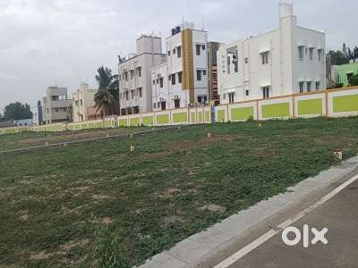 Plot in royal locality