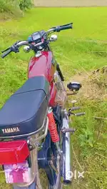 Yamaha rx135